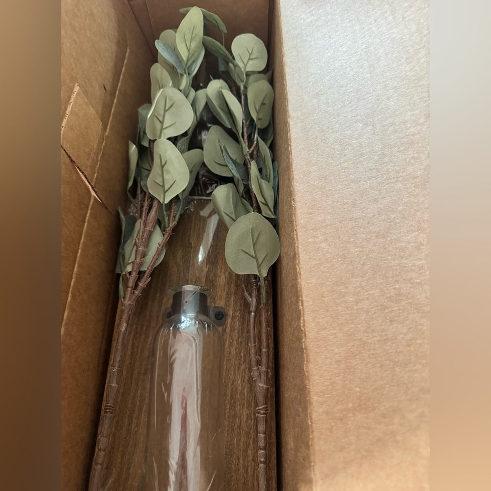 Glass Vase Wall Sconces with eucalyptus leaves